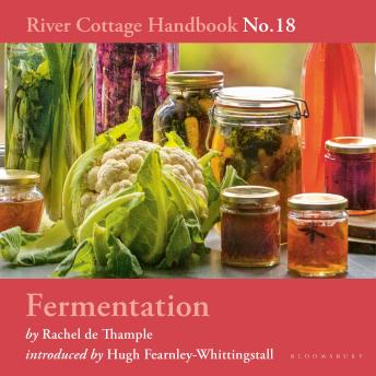 Fermentation: River Cottage Handbook No.18