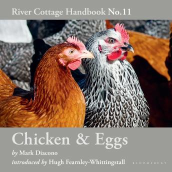 Chicken & Eggs: River Cottage Handbook No.11