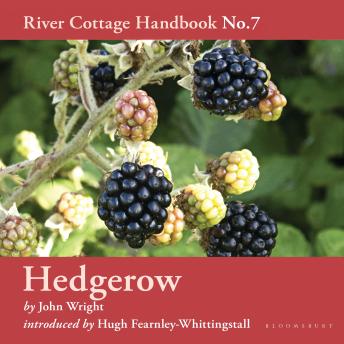 Hedgerow: River Cottage Handbook No.7