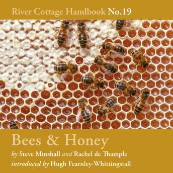 Bees & Honey: River Cottage Handbook No.19