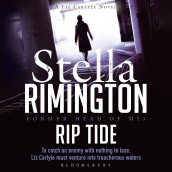 Rip Tide: A Liz Carlyle novel