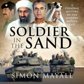 Soldier in the Sand