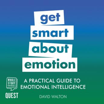 A Practical Guide to Emotional Intelligence: Practical Guide Series