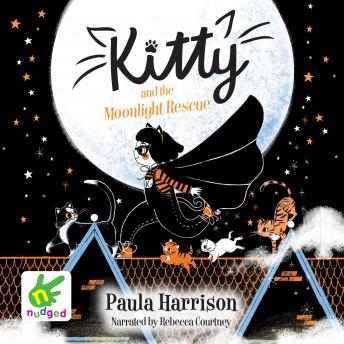 Kitty and the Moonlight Rescue