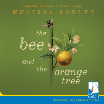 The Bee and the Orange Tree