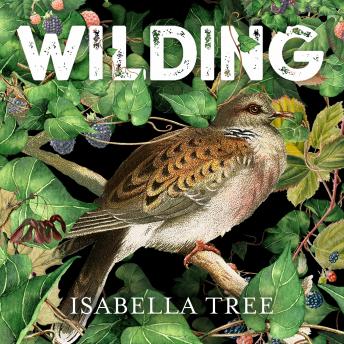 book wilding isabella tree