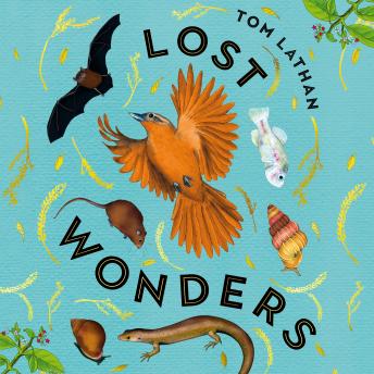 Journey Through: This Unforgettable Full Audiobook For Story Seekers.