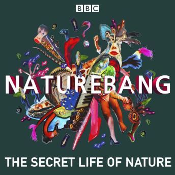 NatureBang: The secret life of nature