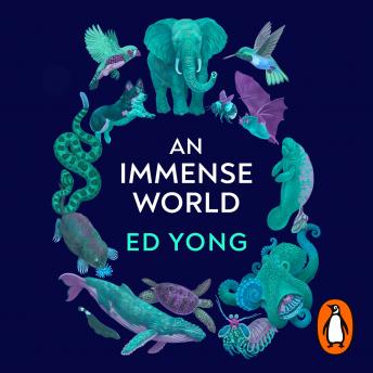 Download Immense World: How Animal Senses Reveal the Hidden Realms Around Us (THE SUNDAY TIMES BESTSELLER) by Ed Yong