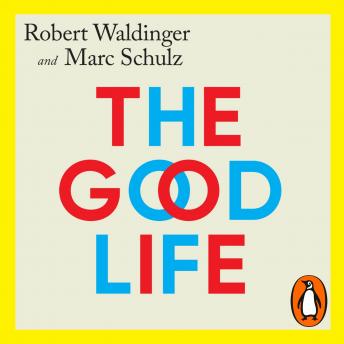 Listen To The Award-Winning Full Audiobook Now, Busy Professionals!