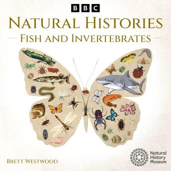 Natural Histories: Fish and Invertebrates: A BBC Radio 4 nature collection