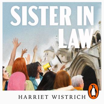 Sister in Law: Fighting for Justice in a System Designed by Men