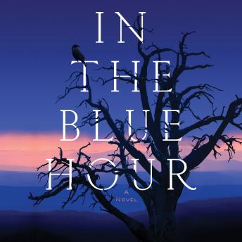 In the Blue Hour: A Novel