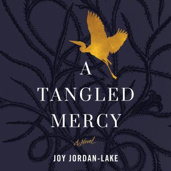 Tangled Mercy: A Novel, Audio book by Joy Jordan-Lake