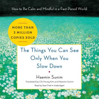 Things You Can See Only When You Slow Down : How to Be Calm and Mindful in a Fast-Paced World, Haemin Sunim