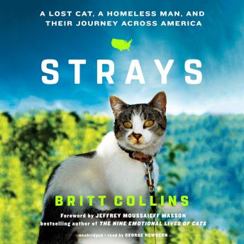 Download Strays: A Lost Cat, a Homeless Man, and Their Journey across America by Britt Collins