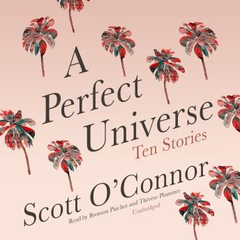 A Perfect Universe: Ten Stories