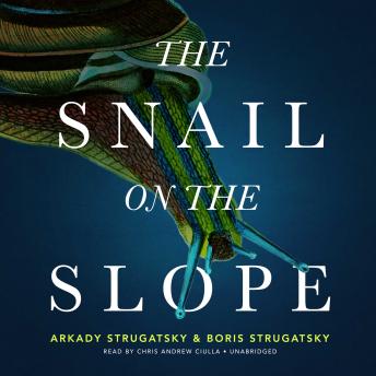 The Snail on the Slope