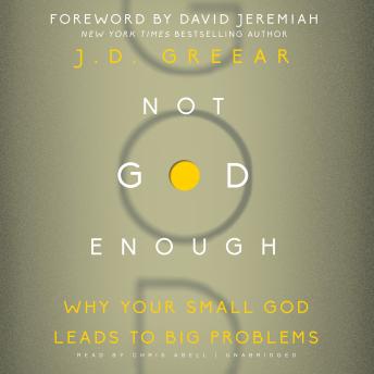 Not God Enough: Why Your Small God Leads to Big Problems sample.