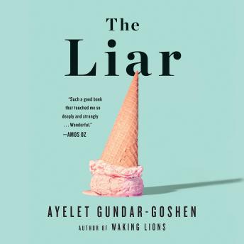 Liar, Ayelet Gundar-Goshen
