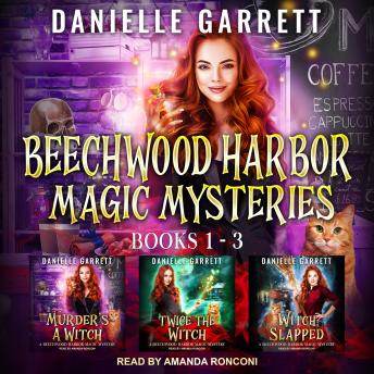 Beechwood Harbor Magic Mysteries Boxed Set, Audio book by Danielle Garrett