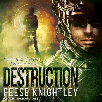 Download Destruction by Reese Knightley
