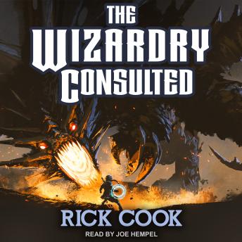Wizardry Consulted, Audio book by Rick Cook