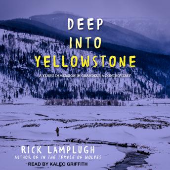 Deep into Yellowstone: A Year’s Immersion in Grandeur and Controversy