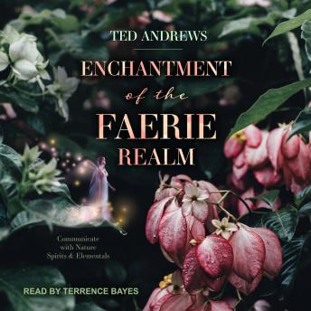 Enchantment of the Faerie Realm: Communicate With Nature Spirits and Elementals