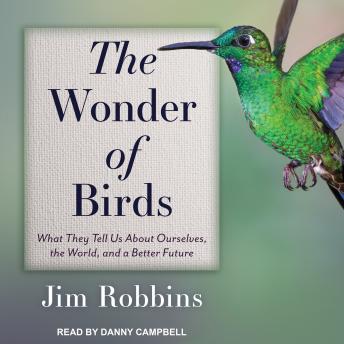 The Wonder of Birds: What They Tell Us About Ourselves, the World, and a Better Future