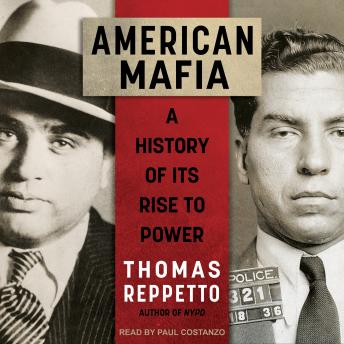 American Mafia: A History of Its Rise to Power