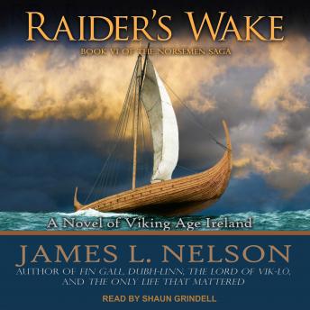 Raider’s Wake: A Novel of Viking Age Ireland
