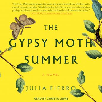 The Gypsy Moth Summer: A Novel