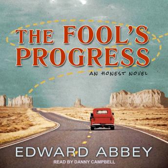 The Fool’s Progress: An Honest Novel