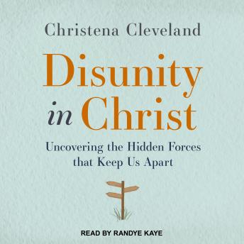 Disunity in Christ: Uncovering the Hidden Forces that Keep Us Apart sample.