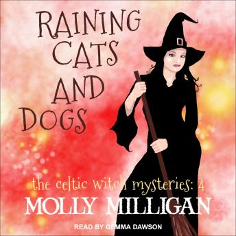 Raining Cats And Dogs sample.