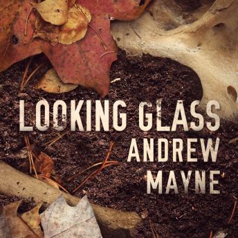 Looking Glass, Andrew Mayne