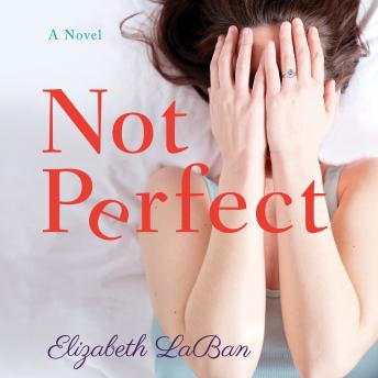 Not Perfect: A Novel sample.