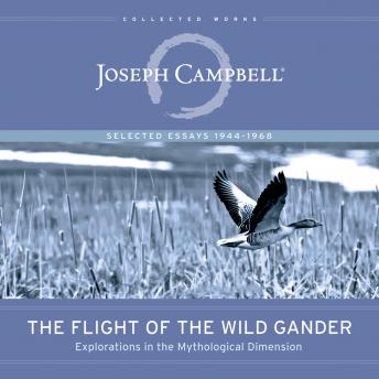 The Flight of the Wild Gander