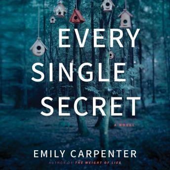 Every Single Secret: A Novel
