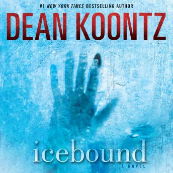 Icebound: A Novel