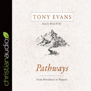 Pathways: From Providence to Purpose