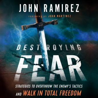 Destroying Fear: Strategies to Overthrow the Enemy's Tactics and Walk in Total Freedom sample.