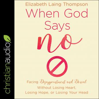 Grab The Vivid Full Audiobook Experience!