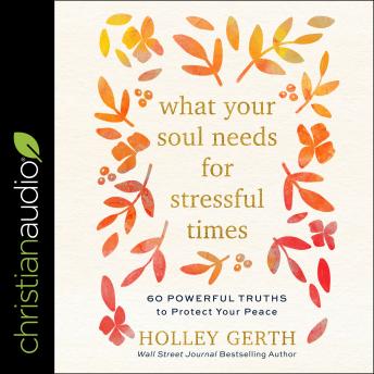 Download What Your Soul Needs for Stressful Times: 60 Powerful Truths to Protect Your Peace by Holley Gerth