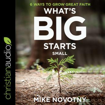 What's Big Starts Small: 6 Ways to Grow Great Faith