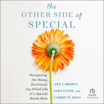 The Other Side of Special: Navigating the Messy, Emotional, Joy-Filled Life of a Special Needs Mom