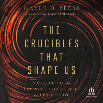The Crucibles That Shape Us: Navigating the Defining Challenges of Leadership