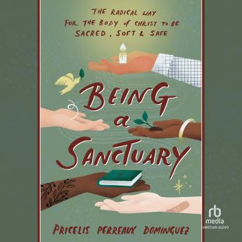 Being a Sanctuary: The Radical Way for the Body of Christ to Be Sacred, Soft, and Safe