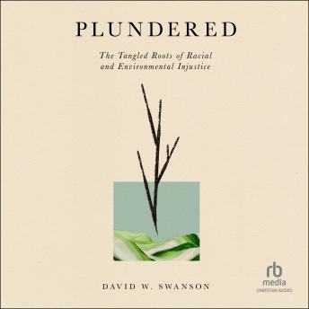 Experience: This Game-Changing Full Audiobook For Book-Lovers.